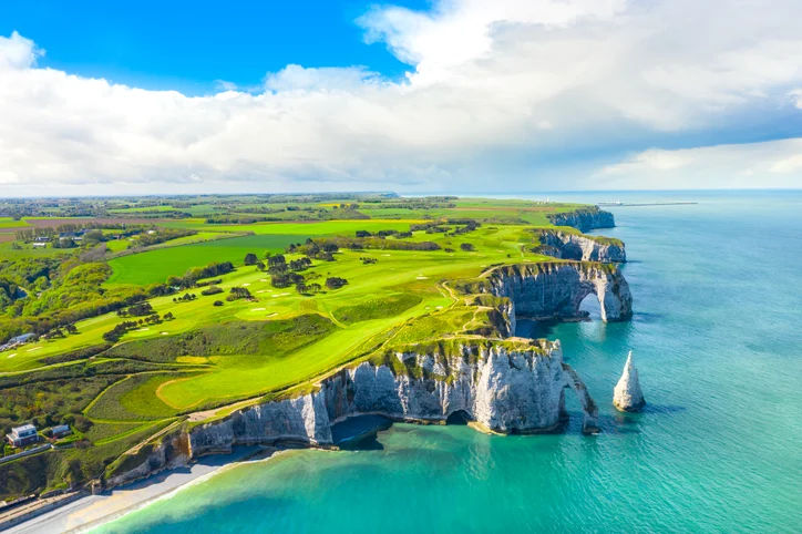 Lutte contre les nuisibles en Normandie