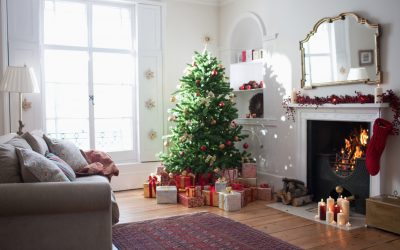 Le DAAF : une idée de cadeau pour Noël