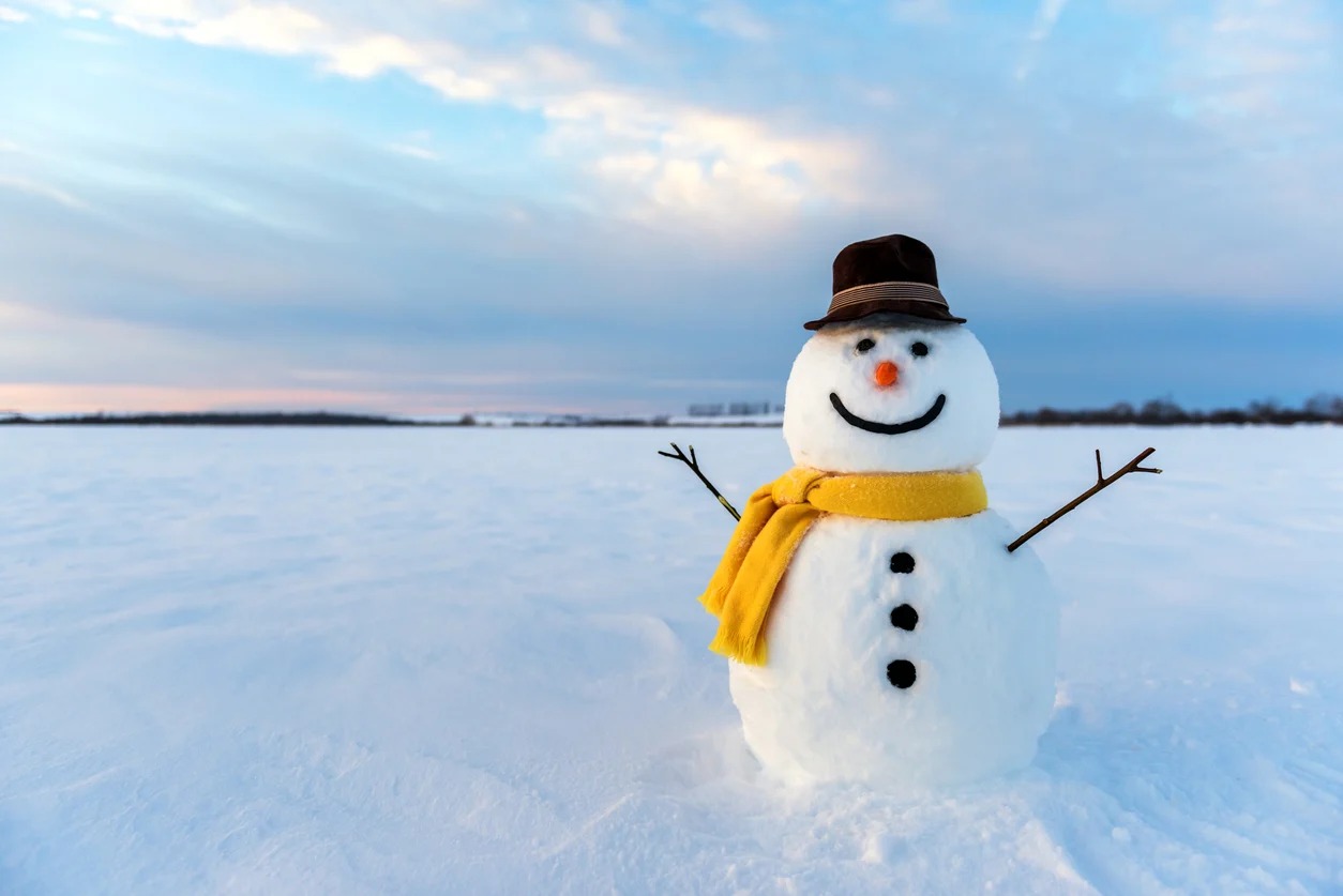 Les punaises de lit craignent-elles l’hiver ?