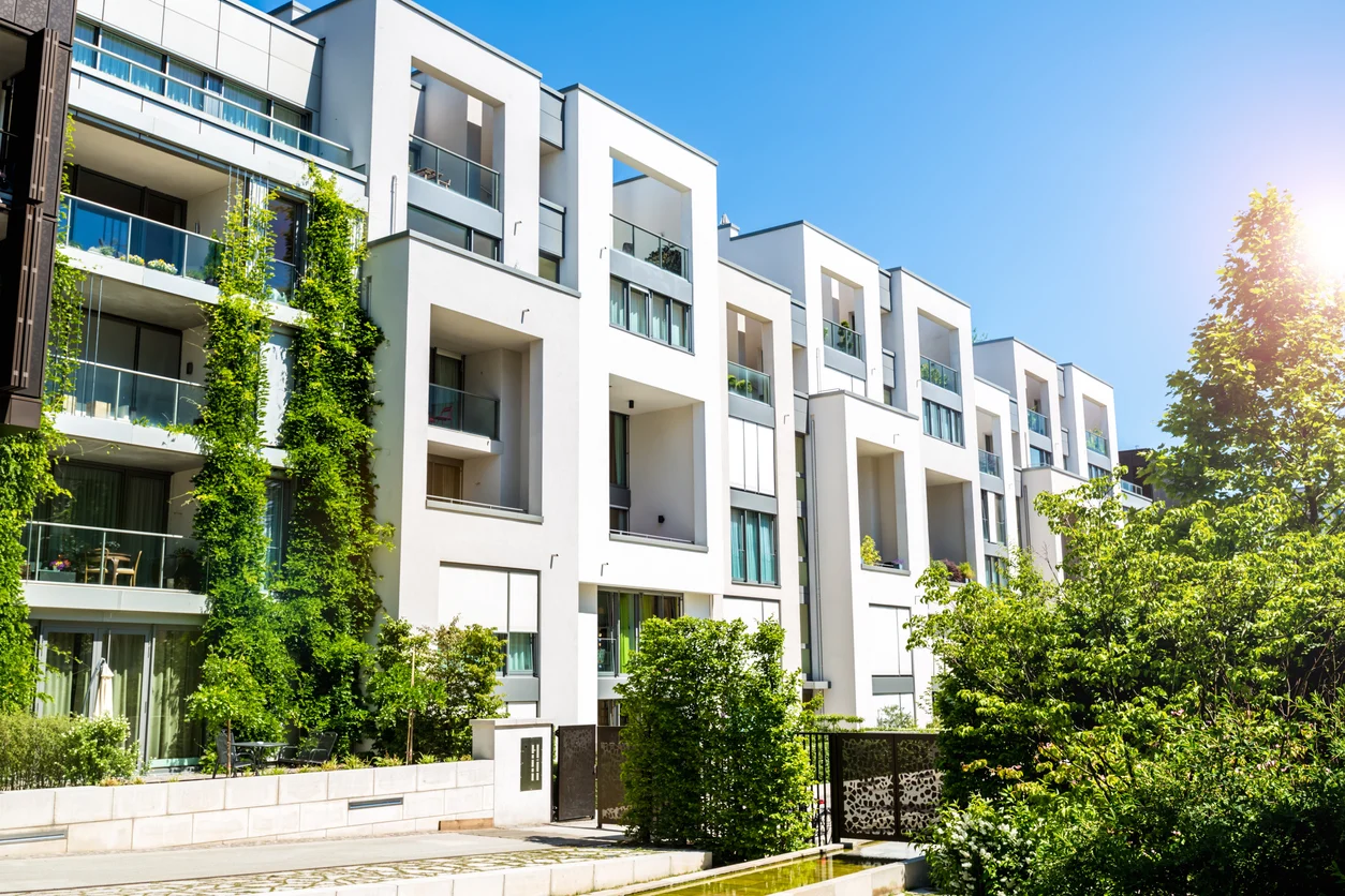Lutte contre les rongeurs en habitat collectif