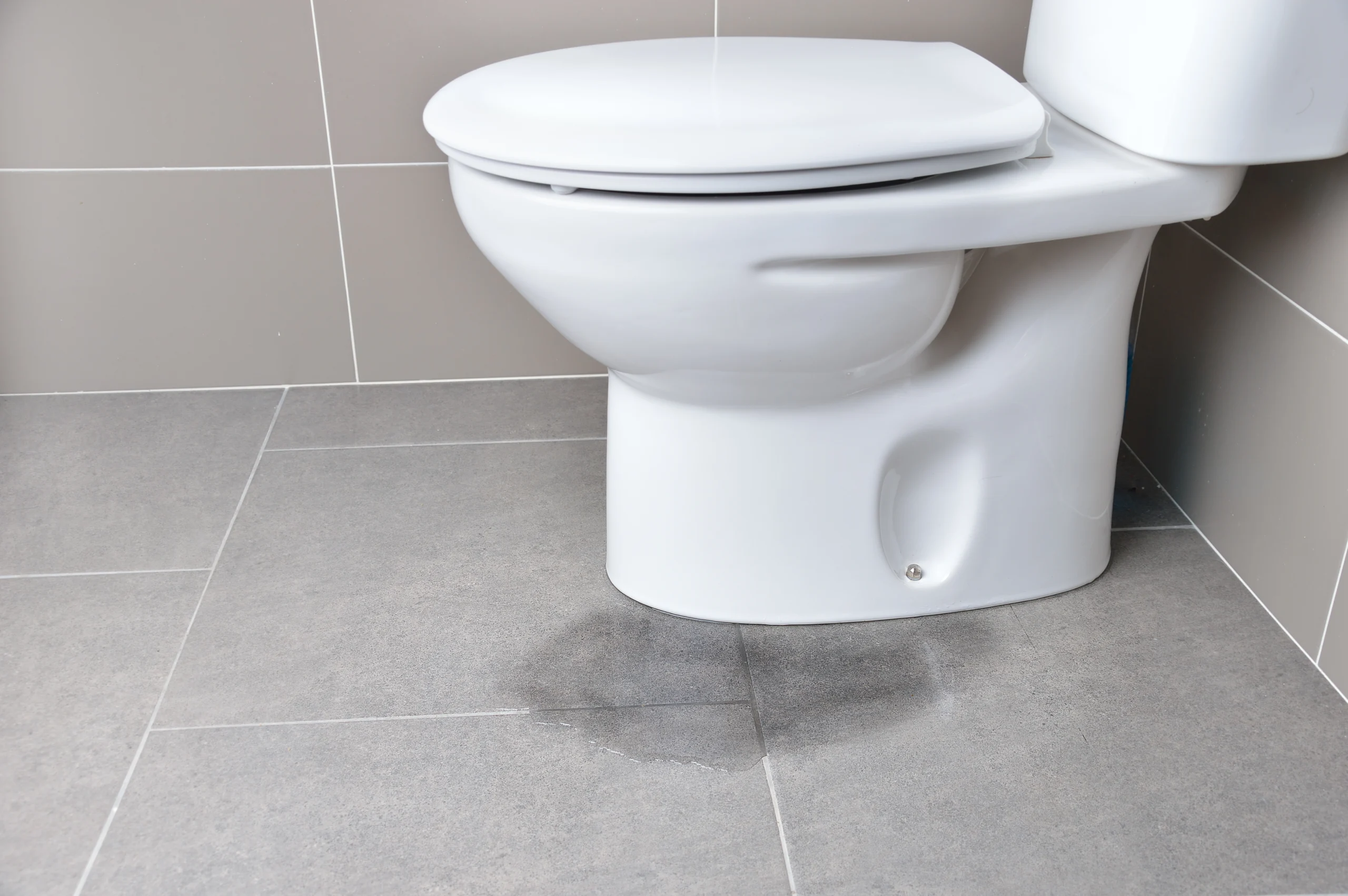 Fuite dans un WC