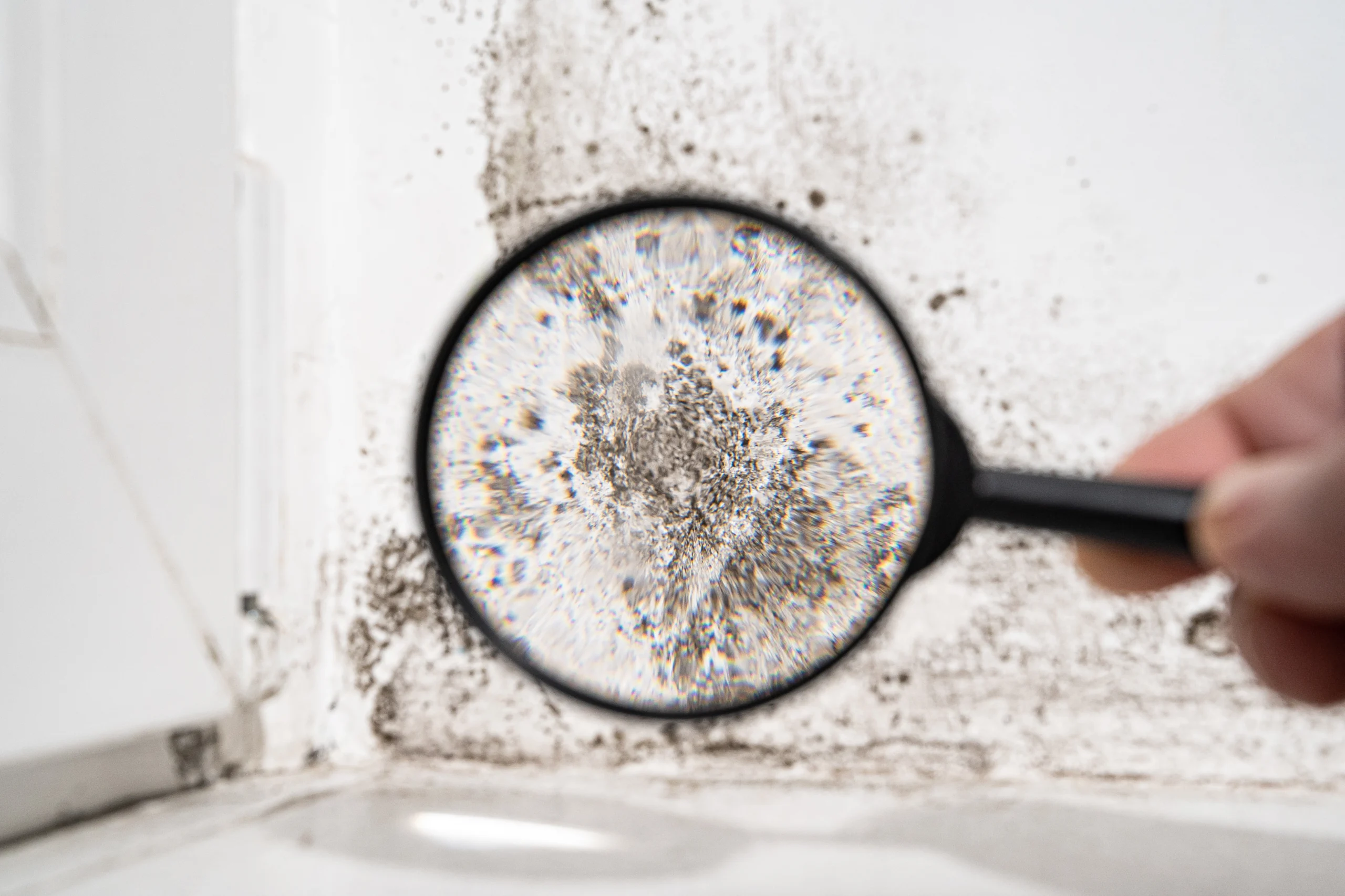 Humidité dans la salle de bains